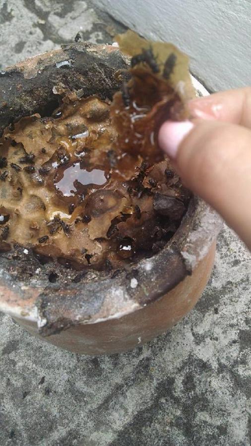 Cuetzalán del Progreso Meson Yohualichan מראה חיצוני תמונה